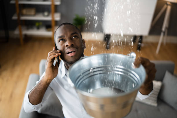 Best Water damage restoration near me  in Hlsboro, IL