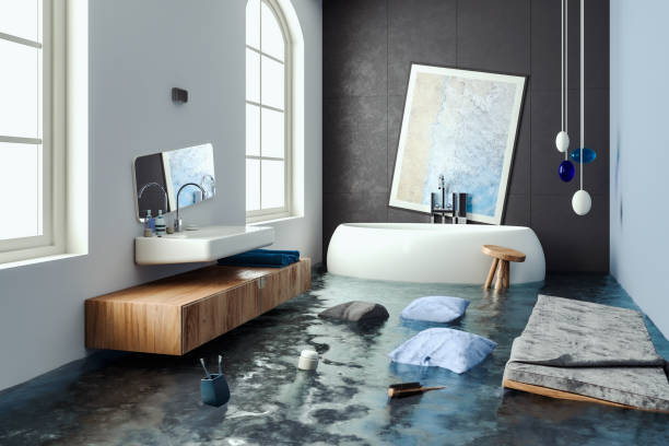 Best Water damage contractors near me  in Hlsboro, IL