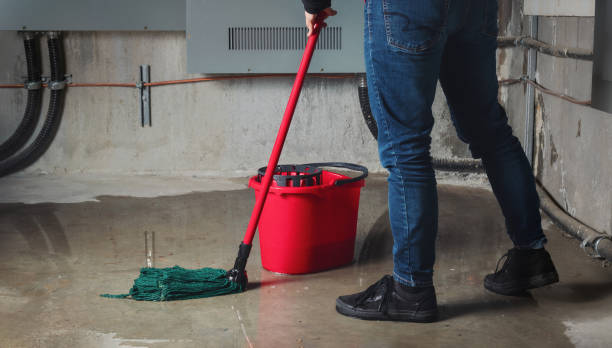 Best Emergency water damage restoration  in Hlsboro, IL