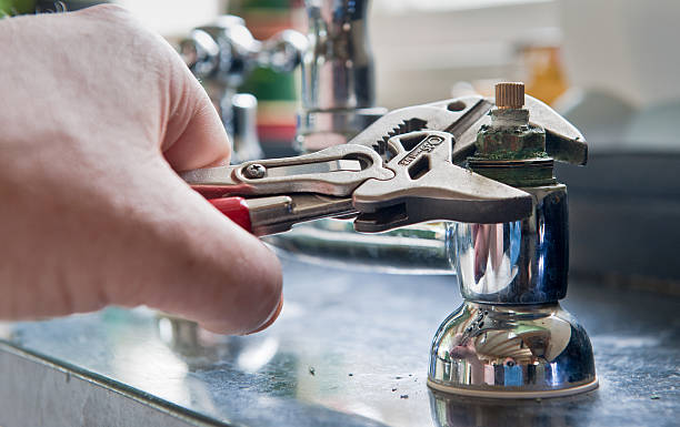 Best Fire Damage Restoration  in Hlsboro, IL