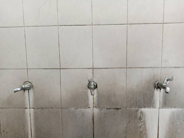 Best Water damage contractors near me  in Hlsboro, IL