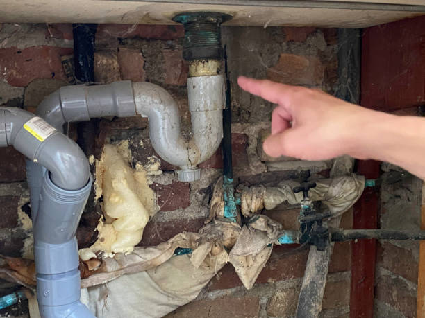 Best Water damage mitigation services  in Hlsboro, IL